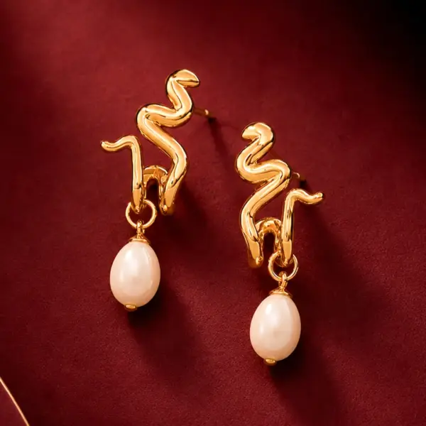 Earrings