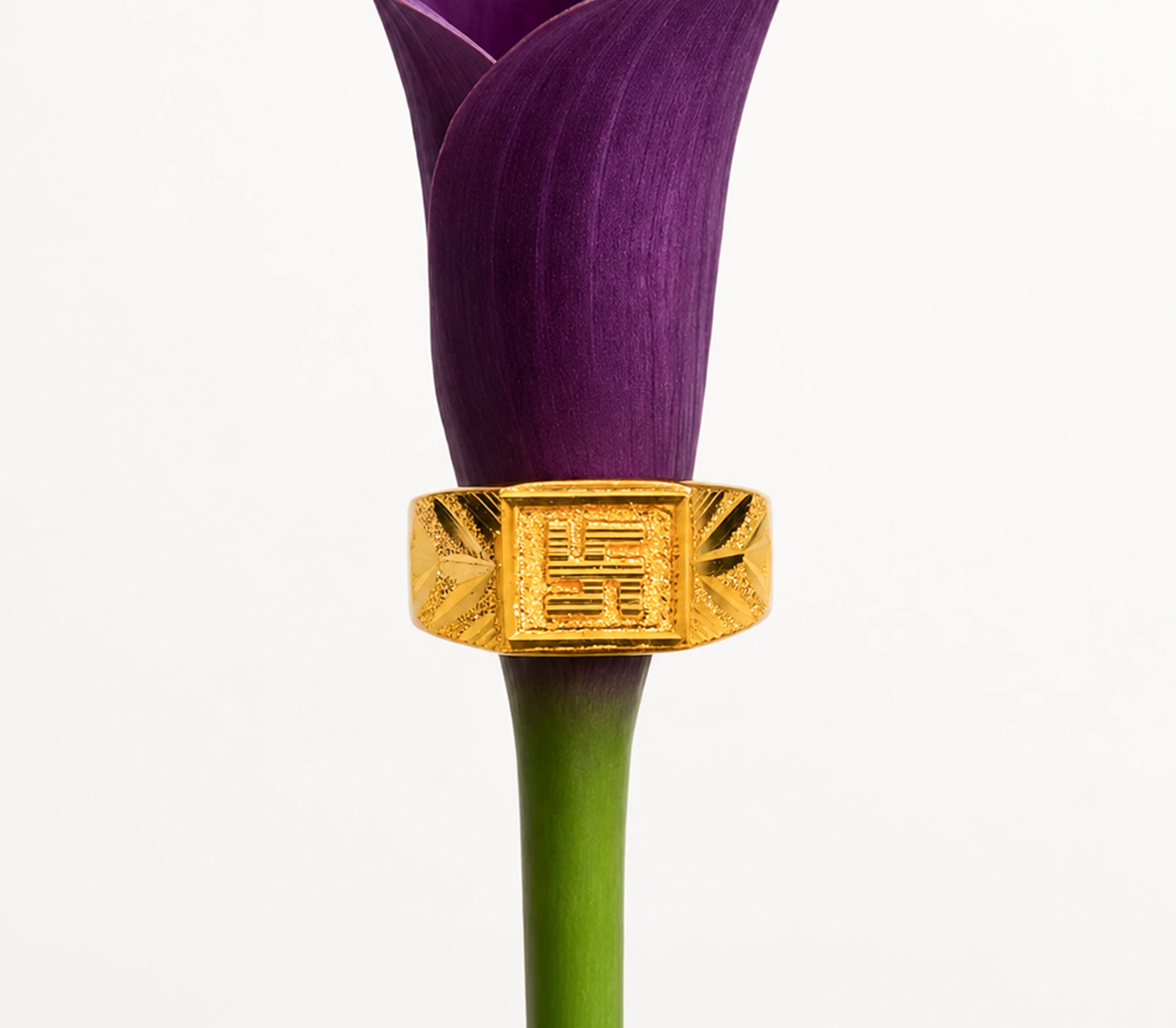 Auspicious Swastika Signet Ring